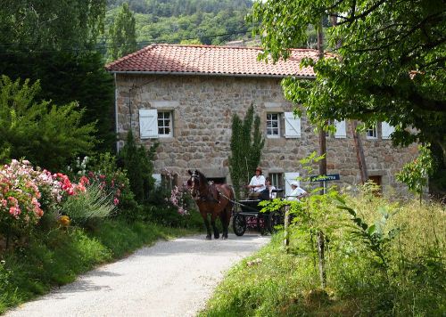 Location de calèche, Mariage, Cérémonie, Anniversaire, Balade